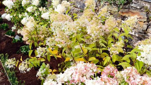 PHOTO : PASCAL BINDER