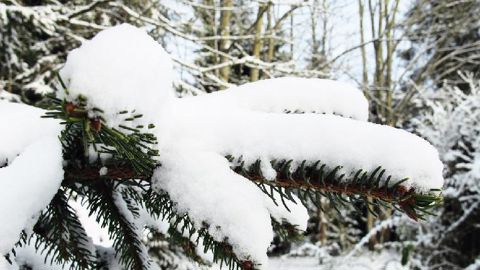 PHOTO : VALÉRIE VIDRIL