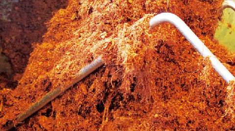 Les quantités de tourbe ramassée ne représentent que 50 % des prévisions.PHOTO : VALÉRIE VIDRIL