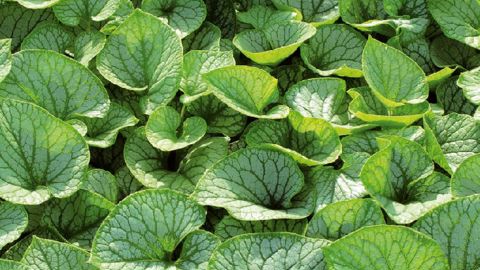 PHOTO : VALÉRIE VIDRIL