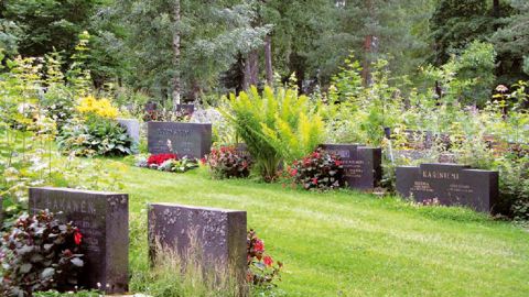 PHOTO : FRANCIS GINESTET