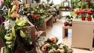 À Bidart (64), un magasin du groupe Flora Nova sous enseigne Le Jardin des Fleurs. Il sera désormais géré et animé par Flora New.PHOTO : FLORA NOVA À Bidart (64), un magasin du groupe Flora Nova sous enseigne Le Jardin des Fleurs. Il sera désormais géré et animé par Flora New.PHOTO : FLORA NOVA