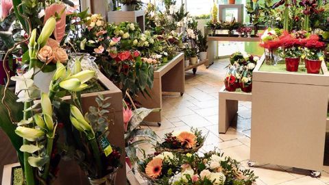 À Bidart (64), un magasin du groupe Flora Nova sous enseigne Le Jardin des Fleurs. Il sera désormais géré et animé par Flora New.PHOTO : FLORA NOVA