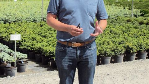 Michael Van Dyck est l'un des dirigeants d'Arbor, entreprise familiale belge créée en 1901. En quatre générations, la pépinière a vu sa clientèle évoluer.