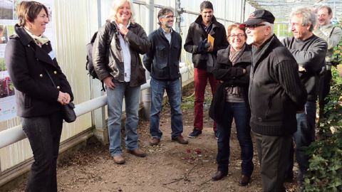 Ange Lhoste-Drouineau (à gauche), responsable PBI au Scradh, a réalisé les notations hebdomadaires chez Benjamin Fourmillier. Elle a présenté le 9 décembre dernier les résultats des suivis de thrips et d'aleurodes en culture de rosier.