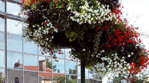 Quel fleurissement pour les collectivités dans le contexte économique actuel ? Le CNVVF invite à y réfléchir le 23 novembre.