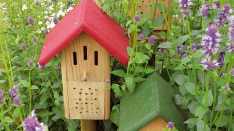 PHOTO : VALÉRIE VIDRIL