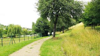 Quelle gestion pour les espaces naturels en collectivités ? Ce sujet sera abordé le 13 décembre.