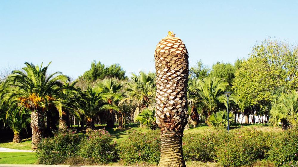 La zone « French Riviera » (bande côtière de 50 kilomètres de profondeur entre Marseille et Nice) est la première région française enregistrée sur le site http ://whatsinvasive.comPHOTO : ODILE MAILLARD La zone « French Riviera » (bande côtière de 50 kilomètres de profondeur entre Marseille et Nice) est la première région française enregistrée sur le site http ://whatsinvasive.comPHOTO : ODILE MAILLARD