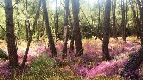 PHOTO : YAËL HADDAD