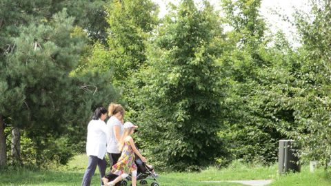 Le conseil général de Seine-Saint-Denis a mis en place une politique de valorisation de ses espaces verts. Ici, dans le parc départemental Jean-Moulin - Les Guilands, à cheval sur Montreuil et Bagnolet.PHOTO : CG93, DNPB