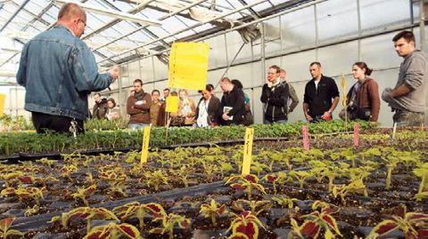 Le séminaire était agrémenté d'une visite des serres de Reims gérées en PBI.PHOTO : FNLON