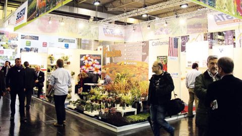 Il est préférable d'organiser sa visite à IPM Essen, pour ne pas se perdre sur les 105 000 mètres carrés du parc des expositions, où 60 000 visiteurs sont attendus.