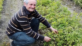 Pour Daniel Soupe, l'origine géographique et le choix du porte-graine sont des éléments essentiels quant à l'adaptation future des végétaux.