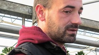 « Nous avons, ma famille et moi, cessé la production des fleurs coupées pour aller vers les protéas parce que nous voulions regarder vers l'avenir. En choisissant de nouveaux produits, nous nous démarquons et pérennisons la société », affirme Gabriele Simoncini, installé dans la ville italienne de Pescia, en Toscane.