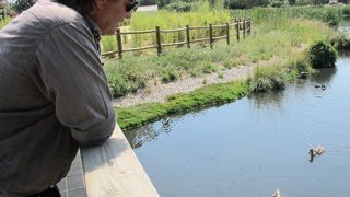 Dirigeant de la société Nymphéa, Philippe Prohin a su diversifier ses activités en commercialisant des plantes à vocation environnementale qui permettent, entre autres, de traiter l'eau des stations d'épuration et de restaurer des zones humides.PHOTO : VALÉRIE VIDRIL
