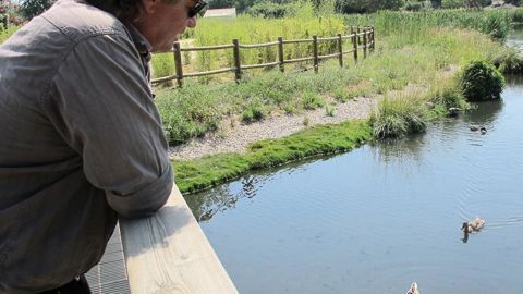 Dirigeant de la société Nymphéa, Philippe Prohin a su diversifier ses activités en commercialisant des plantes à vocation environnementale qui permettent, entre autres, de traiter l'eau des stations d'épuration et de restaurer des zones humides.PHOTO : VALÉRIE VIDRIL