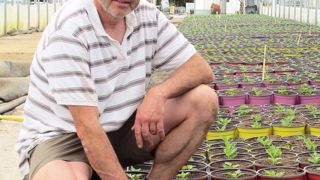 « Dans un contexte difficile, la question se pose : nous continuons de produire ou pas ? Si oui, il faut que les gens sachent tout ce que nous faisons pour répondre à leur demande ! », explique Patrick Michoud, cogérant et responsable de production aux Serres du Baderand.