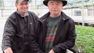 Gérard (à droite) et Grégory Deroux espèrent pouvoir chauffer leur serre de multiplication grâce au miscanthus. Leur entreprise a déjà planté deux hectares de cette production de biomasse.