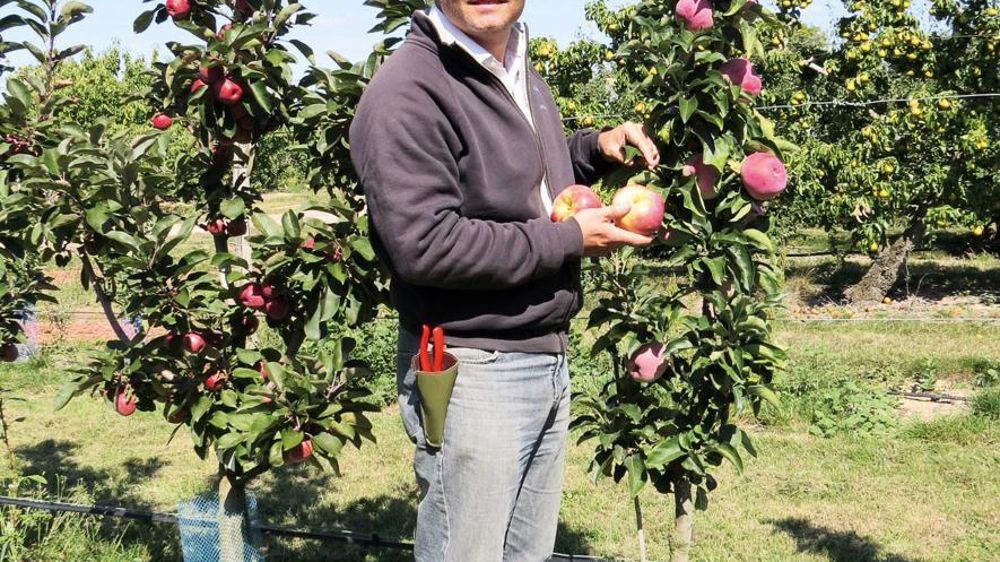 Pour Arnaud Delbard, PDG des Pépinières et roseraies Georges Delbard (PRGD), à Malicorne (03), la pérennité de l'entreprise passe par l'évolution permanente des travaux de sélection. Ici, il présente le pommier colonnaire 'Villandry' qui fait partie d'une collection de six variétés de couleur et de maturité différentes. Pour Arnaud Delbard, PDG des Pépinières et roseraies Georges Delbard (PRGD), à Malicorne (03), la pérennité de l'entreprise passe par l'évolution permanente des travaux de sélection. Ici, il présente le pommier colonnaire 'Villandry' qui fait partie d'une collection de six variétés de couleur et de maturité différentes.