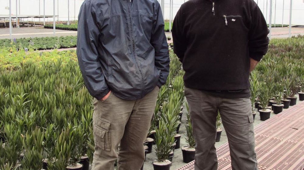 Jean-Olivier (à droite) et Jocelyn Chevalier proposent des produits primeurs et travaillent leur gamme variétale sur la rusticité. L'offre de produits de pépinière « horticulturalisés » découle des essais du Ratho.PHOTO : VALÉRIE VIDRIL Jean-Olivier (à droite) et Jocelyn Chevalier proposent des produits primeurs et travaillent leur gamme variétale sur la rusticité. L'offre de produits de pépinière « horticulturalisés » découle des essais du Ratho.PHOTO : VALÉRIE VIDRIL