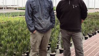 Jean-Olivier (à droite) et Jocelyn Chevalier proposent des produits primeurs et travaillent leur gamme variétale sur la rusticité. L'offre de produits de pépinière « horticulturalisés » découle des essais du Ratho.PHOTO : VALÉRIE VIDRIL