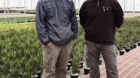 Jean-Olivier (à droite) et Jocelyn Chevalier proposent des produits primeurs et travaillent leur gamme variétale sur la rusticité. L'offre de produits de pépinière « horticulturalisés » découle des essais du Ratho.PHOTO : VALÉRIE VIDRIL