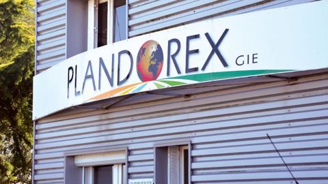 Plandorex réunit quatre entreprises de taille moyenne, spécialisées dans les jeunes plants hors sol, les racines nues et les plantes grimpantes. Denis Girault et Hubert Dupont (premier et deuxième en partant de la droite) sont respectivement président et vice-président de ce groupement, qui emploie trois salariés permanents – Véronique Leclerc, Mickaël Tabut et Antoine Alvarez (de gauche à droite) – sur le site de Saint-Cyr-en-Val et trois agents commerciaux dans le monde.