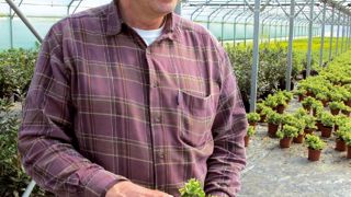 Hubert Le Nan a investi en 2007 dans un filtre lumineux pour protéger ses plantes des brûlures. Il constate un gain de qualité de ses cultures placées sous Solatrol.