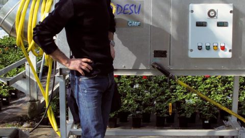 « Nous travaillons à fond sur la qualité des plantes. Avec la déshumidification, les maladies comme le botrytis ou le mildiou ont pratiquement disparu. Nous faisons juste un traitement de temps en temps », explique Alain Brichet.