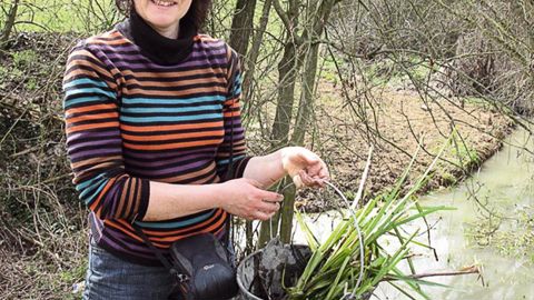 « Parmi les chantiers, le dégagement des berges du ruisseau le Bief du Potet a permis de travailler sur la restauration de sa ripisylve », explique Nathalie Delara, ingénieur chargée de mission animation et développement des territoires.PHOTO : EMMANUEL MARGERIE - LYCÉE DE MONTMOROT