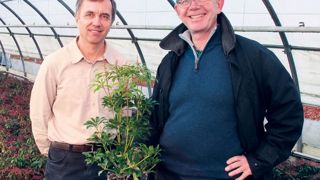 Gilles Colinet (à droite) a repris les pépinières André Briant Jeunes Plants® fin 2014. À gauche, Vincent Le Hegaret, le directeur commercial de l'entreprise.