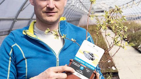 « La création d'un site Internet pour la vente en ligne des petits fruits nous a permis de mieux répondre aux attentes des clients et d'envisager une augmentation de notre production », souligne Lionel Ehrhart, le dirigeant de l'entreprise.PÉPINIÈRES DE LA DEMOISELLE