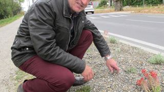 Alain Pérès, directeur du service environnement et cadre de vie d'Auch (32), doit gérer un patrimoine vert en hausse avec un budget qui reste stable. Ces dernières années, à surface constante, la quantité de plantes a été réduite : végétaux couvre-sol, plantations moins denses, sols paillés, irrigation localisée.