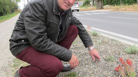 Alain Pérès, directeur du service environnement et cadre de vie d'Auch (32), doit gérer un patrimoine vert en hausse avec un budget qui reste stable. Ces dernières années, à surface constante, la quantité de plantes a été réduite : végétaux couvre-sol, plantations moins denses, sols paillés, irrigation localisée.