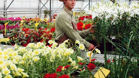 Guillaume Haupert est en charge, avec sa mère Véronique, de l'activité horticole de la ferme de La Voivrotte, installée à Lesménils (54), commune située entre Nancy et Metz.