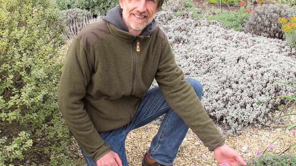 Olivier Filippi s'est spécialisé dans la production d'une gamme botanique de plantes résistantes à la sécheresse, dont la plupart sont issues de la région méditerranéenne et quelques-unes de Californie (États-Unis).