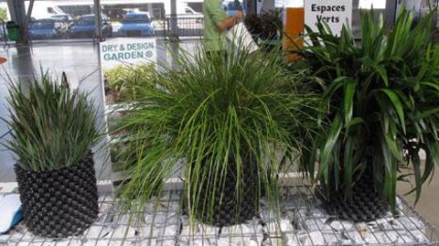 ©Valérie Vidril ©Valérie Vidril