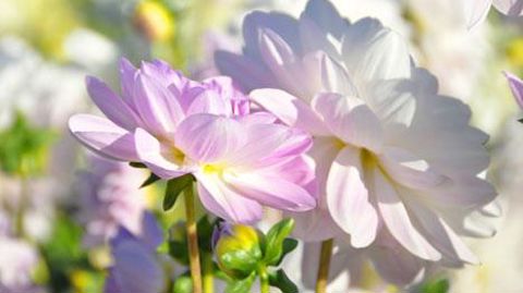 ©Lycée de Coutances ©Lycée de Coutances