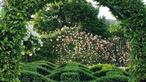 Métal Vert, Brion (86). Métal Vert, Brion (86).