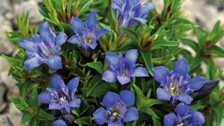 PHOTO : JELITTO PHOTO : JELITTO