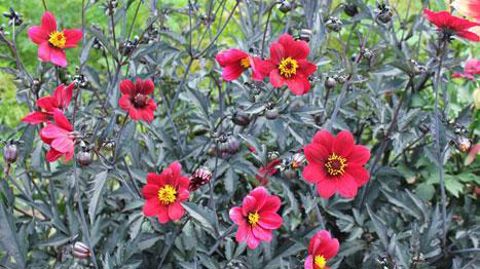 Photo : ©Jeanne de Laval Photo : ©Jeanne de Laval