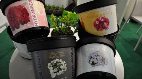 Sicamus Productions, Angers (49) Sicamus Productions, Angers (49)