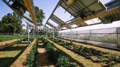 Ombrea-Agrivolta, Aix-en Provence (13)  Ombrea-Agrivolta, Aix-en Provence (13) 