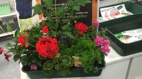 Jost, Molsheim (68). Jost, Molsheim (68).