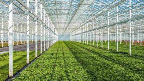 Hortinergy est le premier logiciel en ligne permettant de simuler les consommations énergétiques d'une serre à rénover ou en création.  Hortinergy est le premier logiciel en ligne permettant de simuler les consommations énergétiques d'une serre à rénover ou en création. 