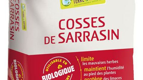 Florentaise, Saint-Mars-du-Désert (44). Florentaise, Saint-Mars-du-Désert (44).