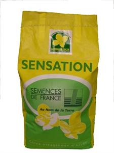 « Cultivé cette année sur plus de 35.000 ha, Sensation, hybride leader de la gamme colza de Semences de France, poursuit son développement. »