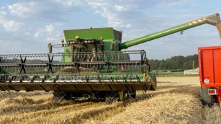 Les pluies abondantes de l’été ont parfois altéré les rendements, mais surtout dégradé la qualité des récoltes. © Christian Watier Les pluies abondantes de l’été ont parfois altéré les rendements, mais surtout dégradé la qualité des récoltes. © Christian Watier