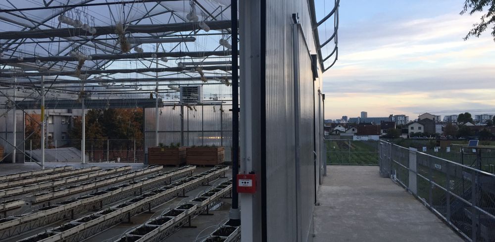 La ferme ouverte de Saint-Denis organisait deux tables-rondes sur l'agriculture urbaine et les serres en toiture le 18 octobre 2022.